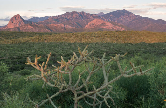 tucson-santa-rita-mountains-arizona Tucson Santa Rita Mountains Arizona