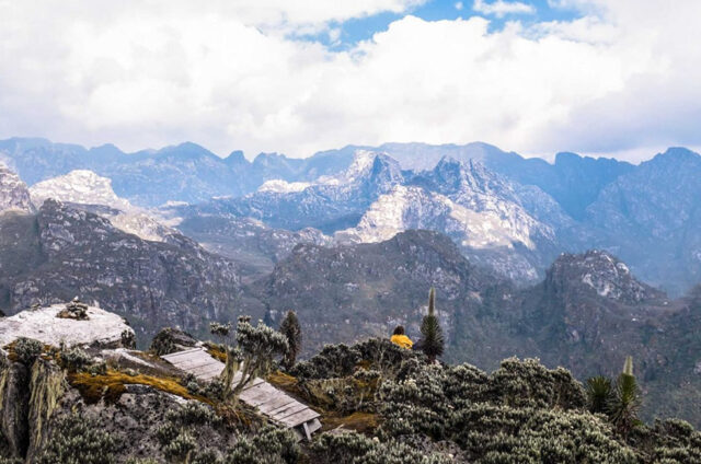 rwenzori-mountains Rwenzori Mountains