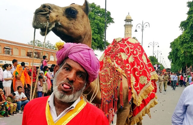 Jaipur Festival