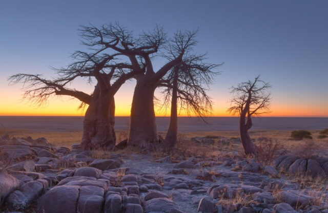 makgadikgadi-pans Makgadikgadi Salt Pans