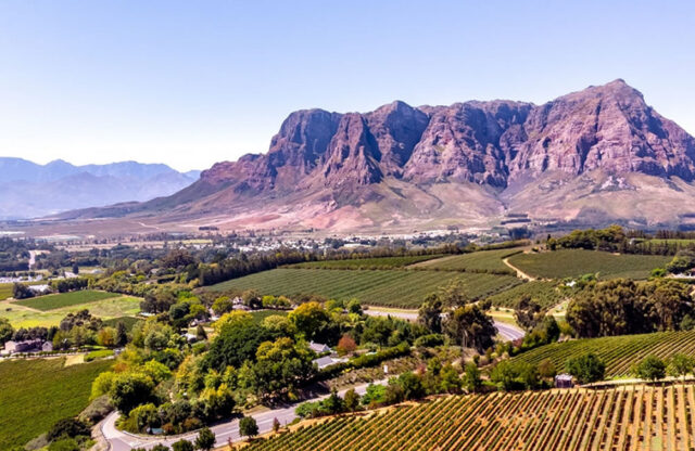 Kookfontein Sauvignon Blanc