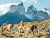 Patagonia: An Untouched Land Untouched Patagonia