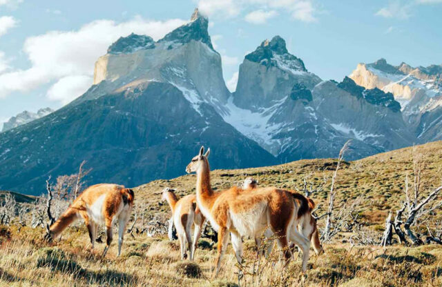 patagonia Untouched Patagonia