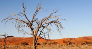 The Deserts of Africa – Unimaginable Beauty Kalahari Desert