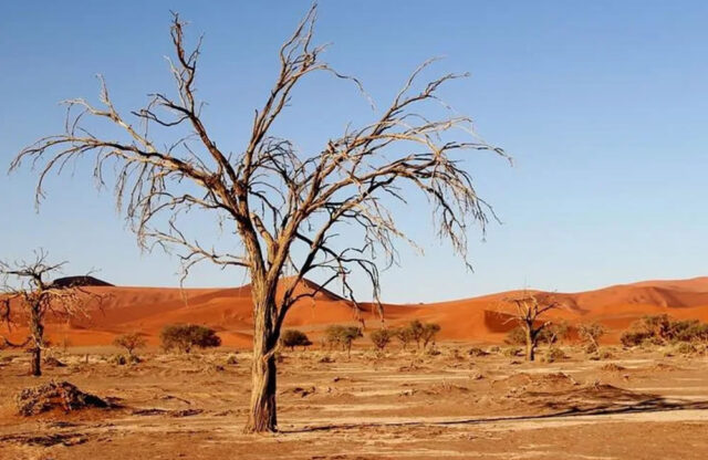 kalahari Kalahari Desert