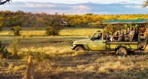 Planning Your First Kenya Safari Kenya Safari