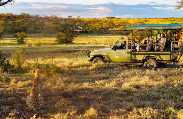 Kenya Safari