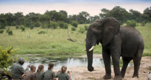 A contribution to Africa is a contribution to the planet African Experience