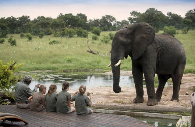 African Experience