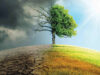What is Climate Change? Climate Change