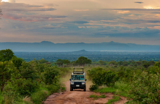 east-africa-parks East Africa Safaris