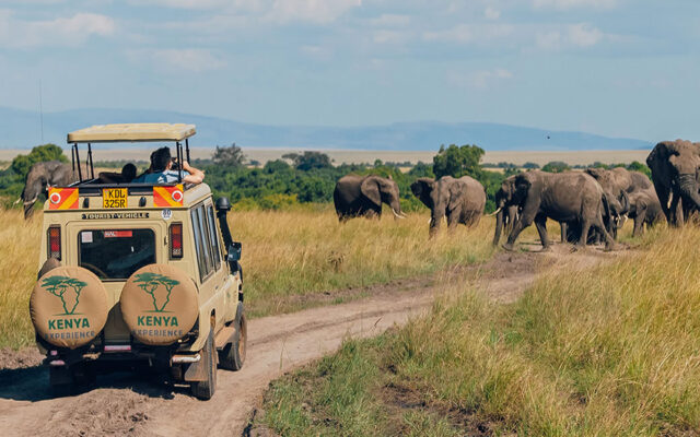 Kenya safari experience