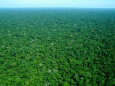 The Maijuna: The Ancient Culture of the Amazon Rainforest The Maijuna