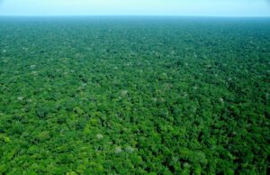 The Maijuna: The Ancient Culture of the Amazon Rainforest The Maijuna