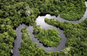Best Places to See Amazon Animals Peruvian Amazon
