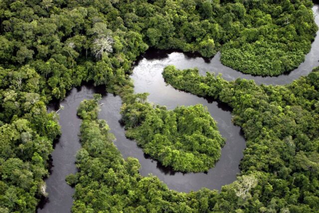 peruvian-amazon Peruvian Amazon