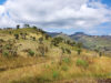 Hiking Uganda’s Mount Elgon Helps Save a Mountain Mount Elgon Uganda