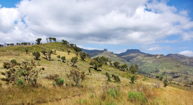 Hiking Uganda’s Mount Elgon Helps Save a Mountain Mount Elgon Uganda