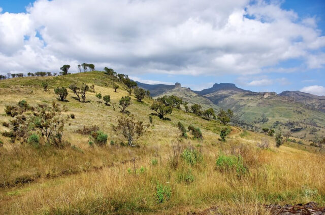 Mount Elgon Uganda